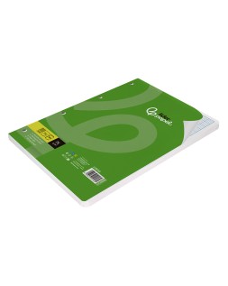 Recambio liderpapel a4 100 hojas 75gr rayado nº46 4 taladros
