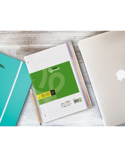 Recambio liderpapel a4 120 hojas 90gr cuadro 5 mm 4 taladros bandas de 5 colores pasteles