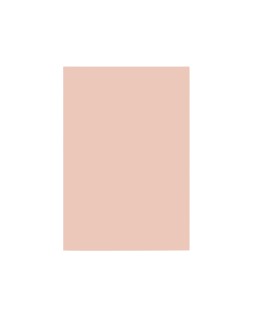 Cartulina liderpapel a4 180g/m2 salmon paquete de 100 hojas