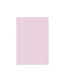 Cartulina liderpapel a4 180g/m2 rosa paquete de 100 hojas