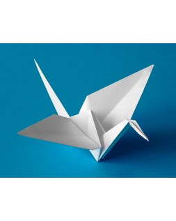 Cartulina liderpapel 50x65 cm 180g/m2 blanco