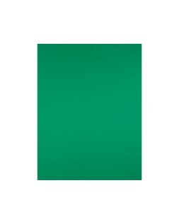 Cartulina liderpapel 50x65 cm 240g/m2 verde navidad