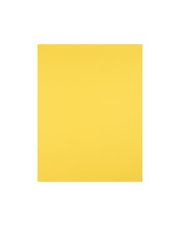 Cartulina liderpapel 50x65 cm 240g/m2 amarillo limon paquete de 25 hojas