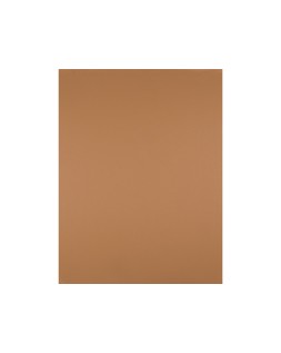 Cartulina liderpapel 50x65 cm 240g/m2 marron escolar paquete de 25 hojas