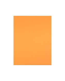 Cartulina liderpapel 50x65 cm 240g/m2 nectarina paquete de 25 hojas