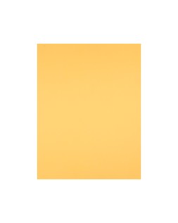 Cartulina liderpapel 50x65 cm 240g/m2 oro paquete de 25 hojas