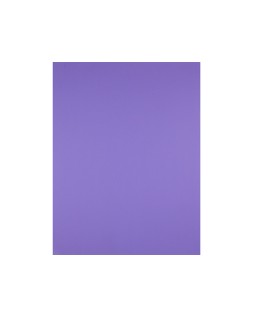 Cartulina liderpapel 50x65 cm 240g/m2 purpura paquete de 25 hojas