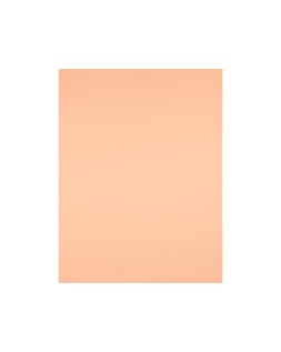 Cartulina liderpapel 50x65 cm 240g/m2 sepia paquete de 25 hojas