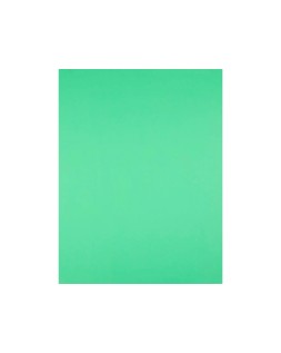 Cartulina liderpapel 50x65 cm 240g/m2 verde pistacho paquete de 25 hojas