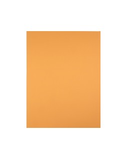 Cartulina liderpapel 50x65 cm 180 gr avellana paquete de 25 hojas