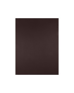 Cartulina liderpapel 50x65 cm 180 gr marron paquete de 25 hojas