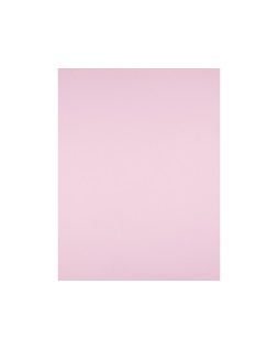 Cartulina liderpapel 50x65 cm 180g/m2 rosa paquete de 25 hojas