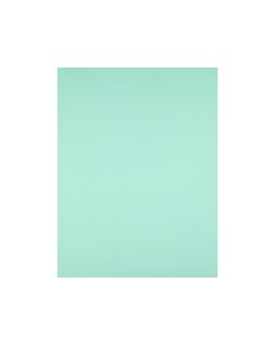 Cartulina liderpapel 50x65 cm 180g/m2 verde paquete de 25 hojas